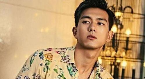 娱乐圈吃瓜爆料李现,娱乐圈风云再起，揭秘明星背后的故事